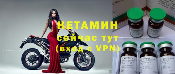 индика Белоозёрский