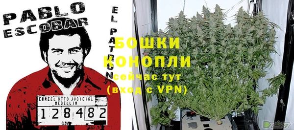 индика Белоозёрский