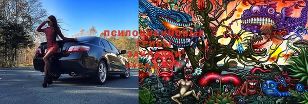 индика Белоозёрский