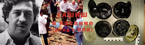 индика Белоозёрский
